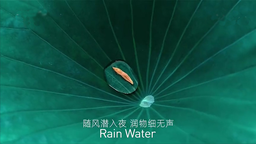 24節(jié)氣-雨水