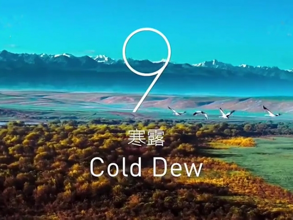 金中宏  24節(jié)氣--寒露