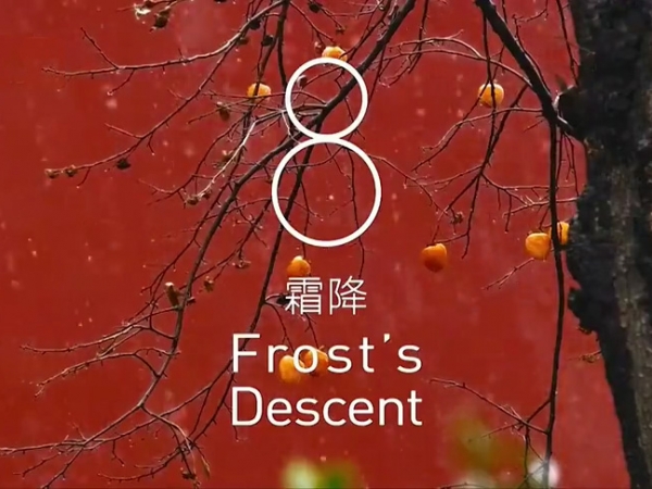 金中宏  24節(jié)氣--霜降